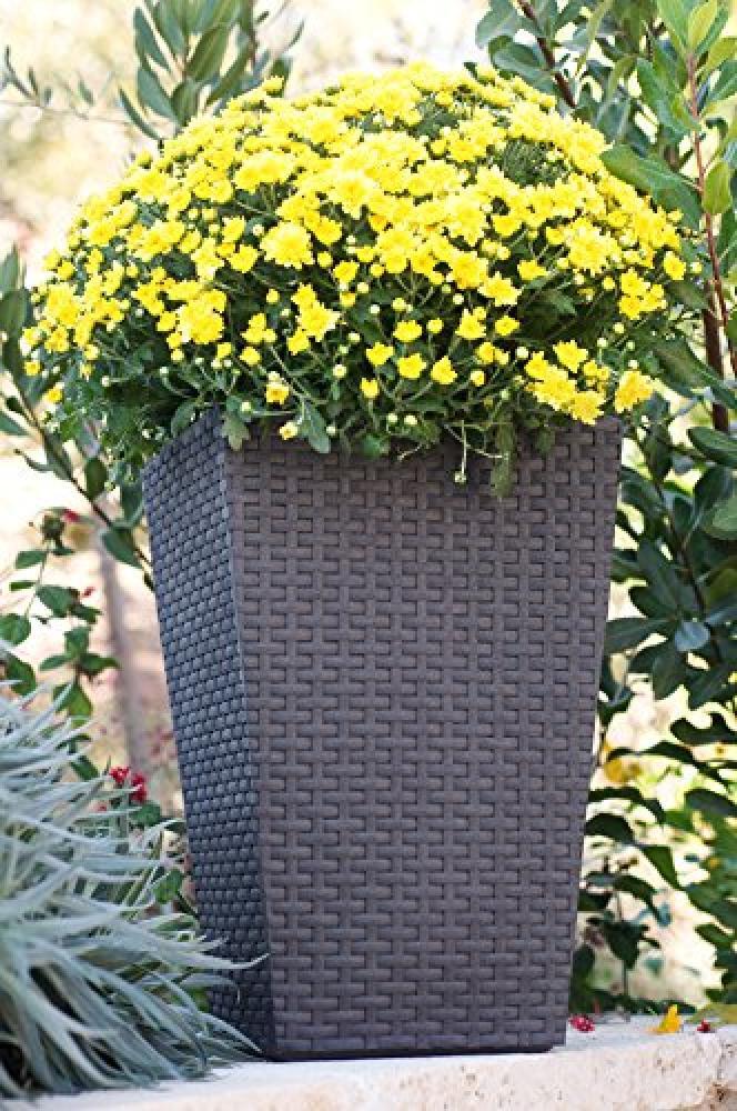 (TG. 38 x 38 x 57 cm) Keter Ratan Curver Vaso da Fiori Medio, 38 x 38 x 57 cm, G