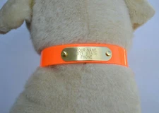 WARNER SPORTING DAYGLO DOG COLLAR ORANGE 1" X 23" FREE ENGRAVED BRASS ID TAG USA