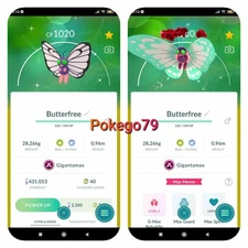 Pokemon - Shiny Gigantamax Butterfree (Tr.a.d.e 20k stardust or P.T.C mini)