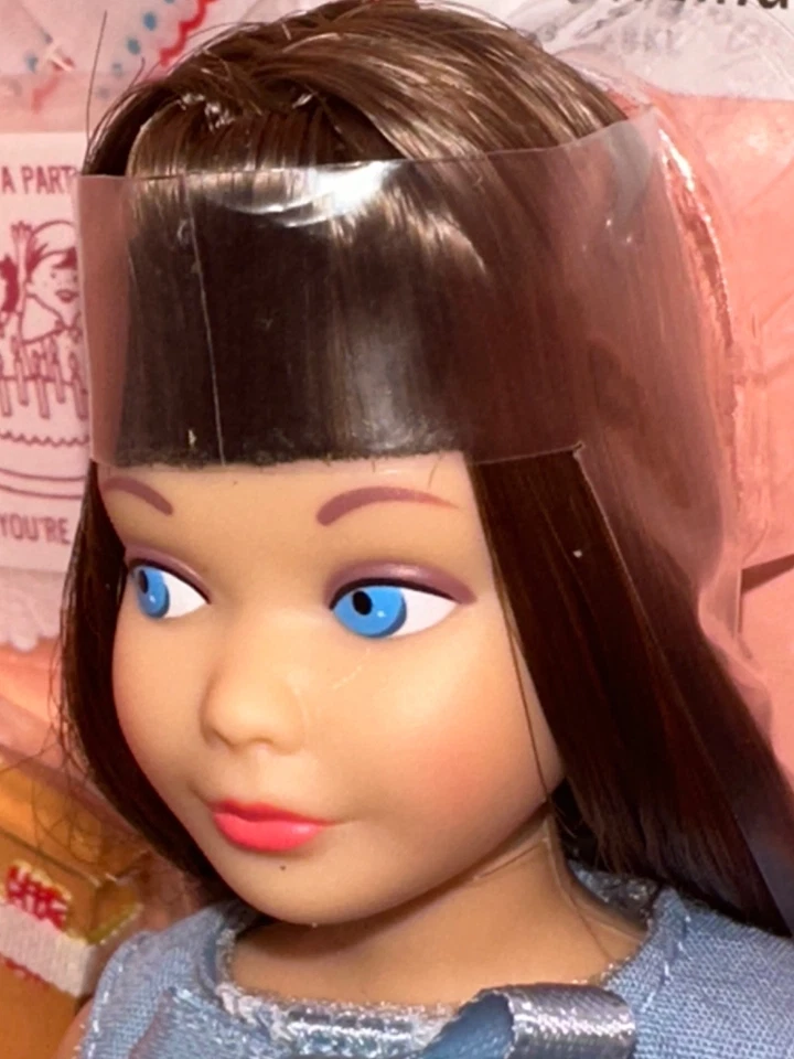 Barbie Gold Label 2013 Mattel “Skipper 50 aniversario” #BDH31 *Sin usar, en caja original* Foto 4 de 4