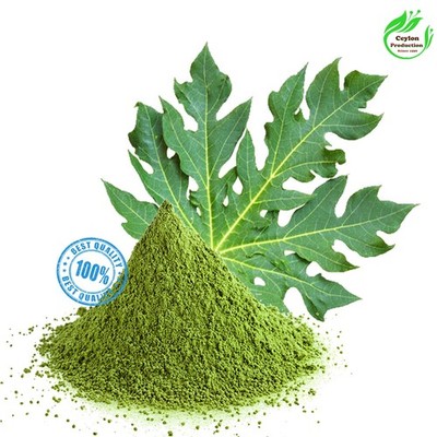 Papaya Leaves Powder Natural Herbal Carica Papaya Fine Ground Powder