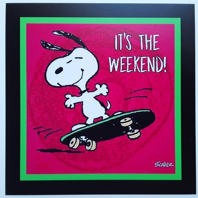 Peanuts - Snoopy Magnet ♡ WEEKEND ♡ Skateboarding | eBay