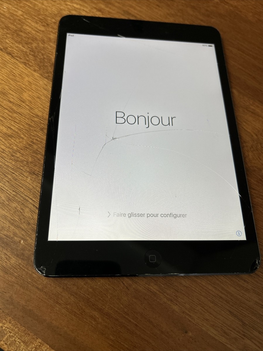 APPLE IPAD MINI 7.9
