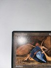 Foto 5 di 6