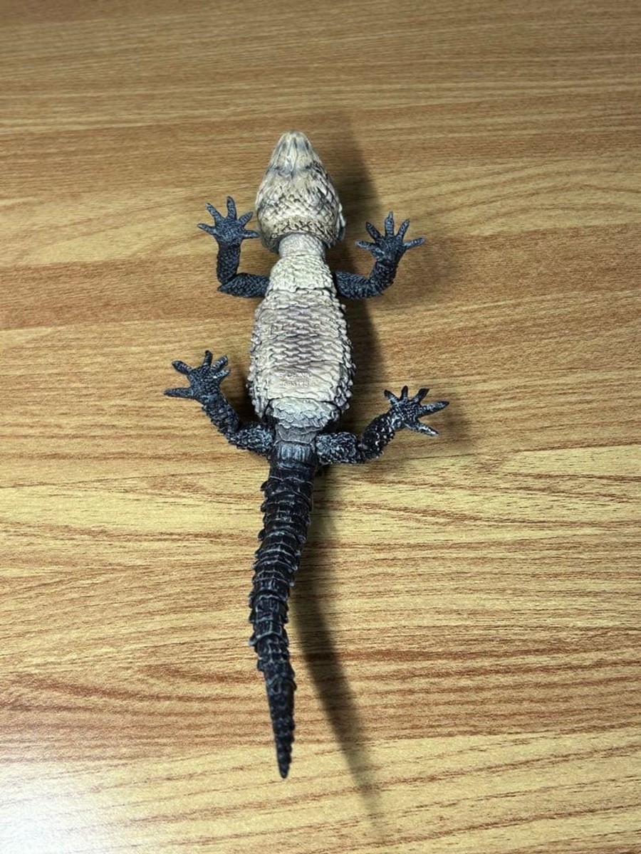 Ikimono Daizukan Advance Akame Kabuto Tokeh Lizard Figure Toy | eBay