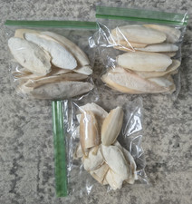 Natural Cuttlebone Cuttlefish Bone Bird Reptile Turtle Calcium 7 ounces 