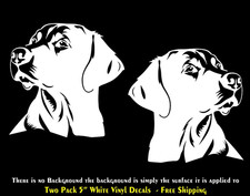 Labrador Retriever Lab Two 5" White Vinyl Decals Car Windows Laptop Tablet