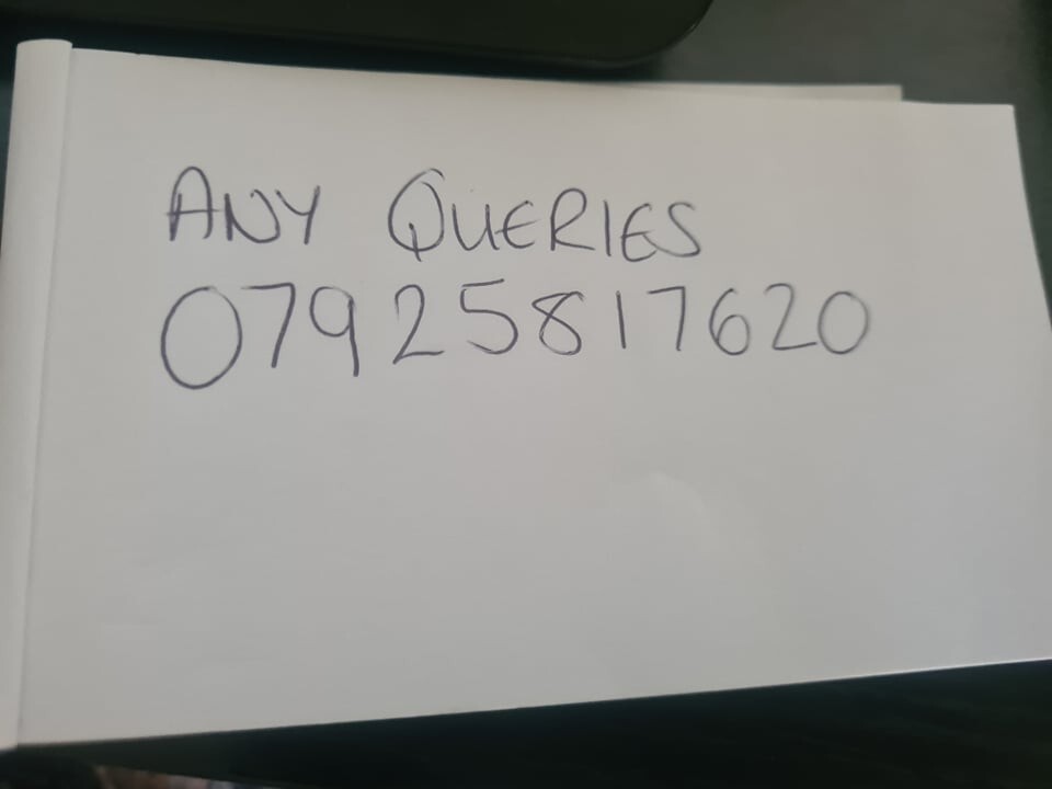 COLEMAN 533 CAMPING STOVE eBay