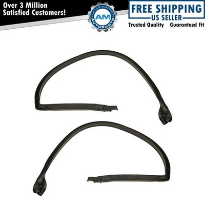 Roof Rail Weatherstrip Seals Pair for 73-77 Oldsmobile Cutlass Supreme