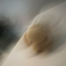 Ty Beanie Babies Fetch Dog Plush 1996 Original Retired Collectible