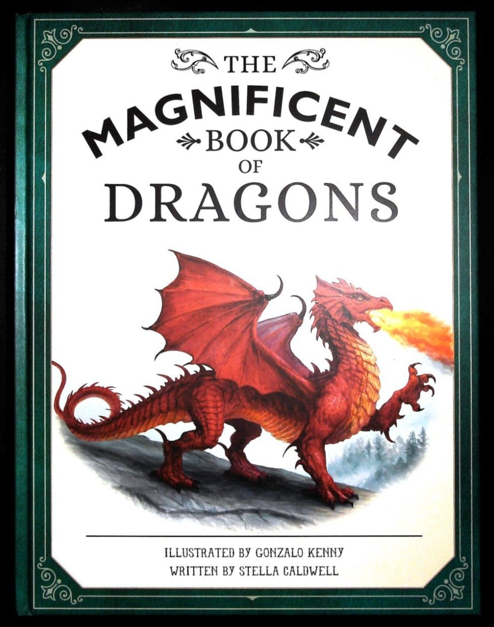 The Magnificent Book of Dragons for Children NEW Stella Caldwell, Gonzalo Kenny