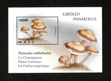 Mali 1996 - Mushrooms - Souvenir Stamp Sheet - Scott #768 - MNH