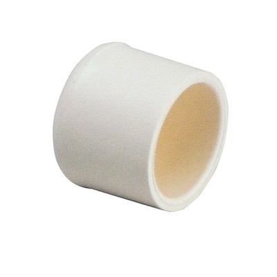PPG 80563 for PlumbMaster 1 Slip Cpvc Cap