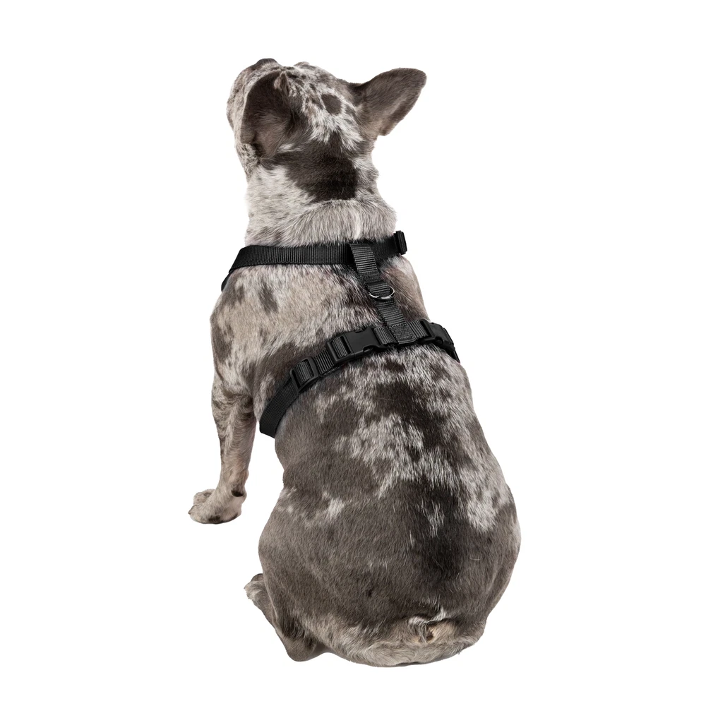 Dog Harness, Mesh Adjustable, Reflective Dog Walking Pet Harness, Black, Size M
