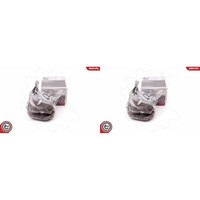 2X Esen SKV RADLAGER-SATZ Hinten Links+Rechts Passend FüR Ford Kuga