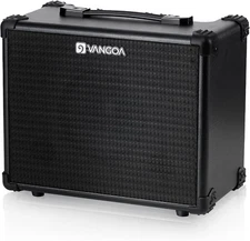 Bass Guitar Amplifier 15W Portable Electric Bass Combo Amp Small for Bass Practi