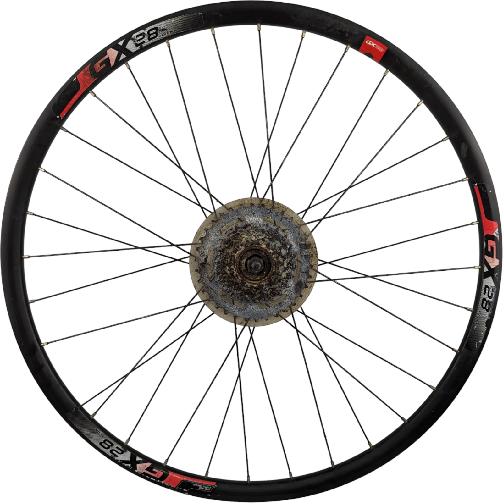 Giant GX28 Rear Mountain Bike Wheel 26" Alloy Rim Racing eBay