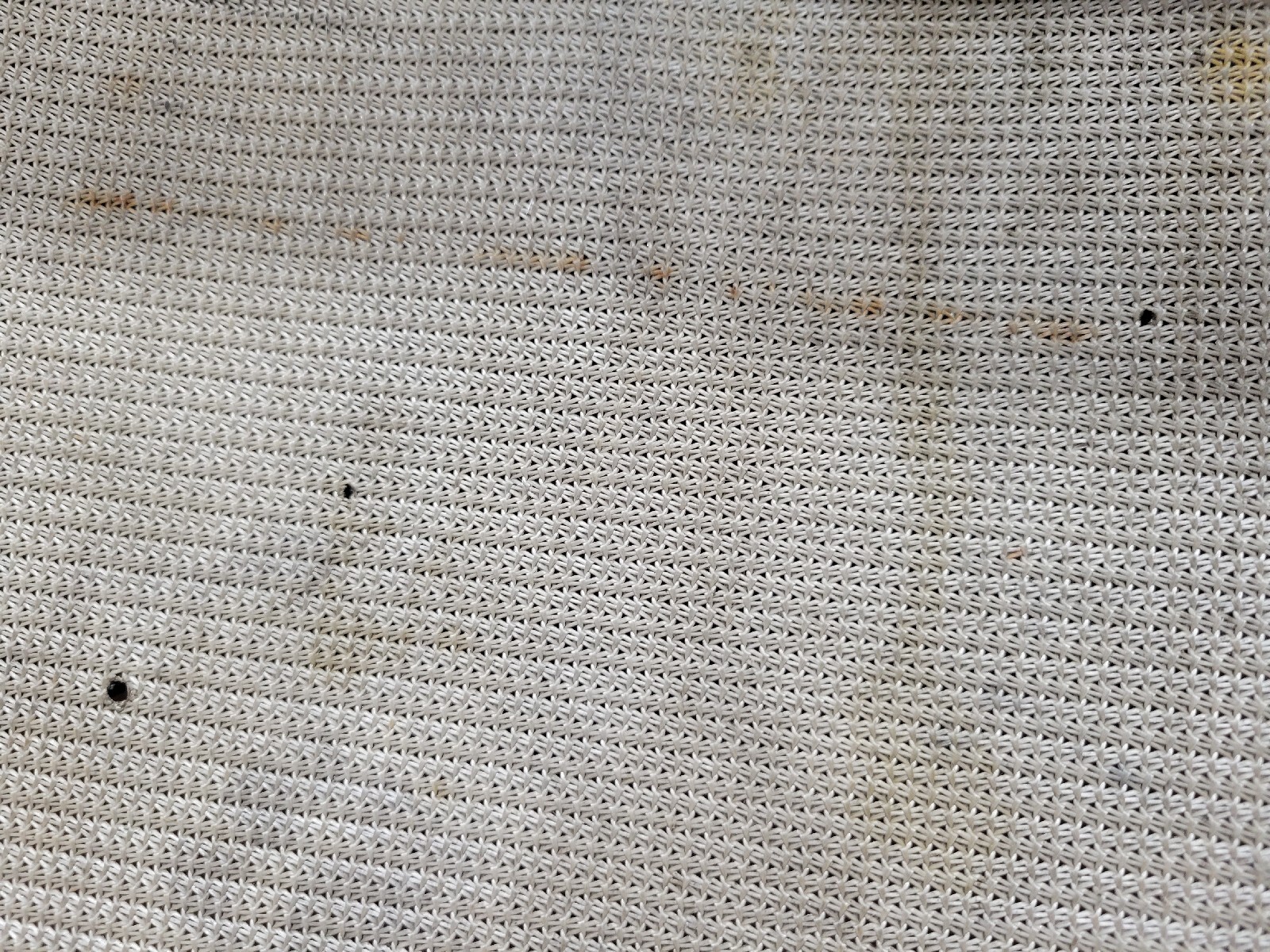 Picture 10 of 10