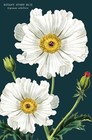 Bild 7 von 11