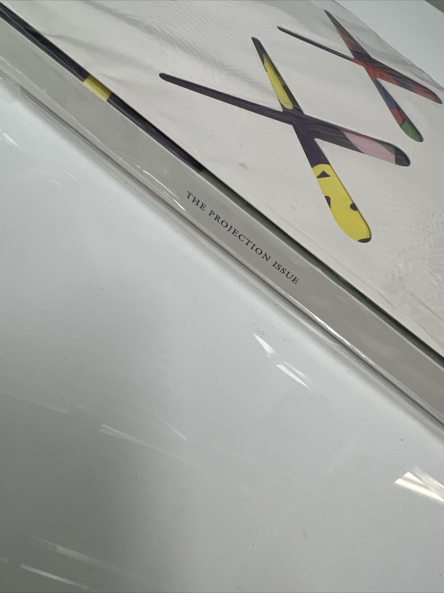 KAWS HYPEBEAST MAGAZINE Issue 16 The Projection Issue KAWS White