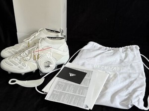 Adidas Predator Accelerator FG | eBay