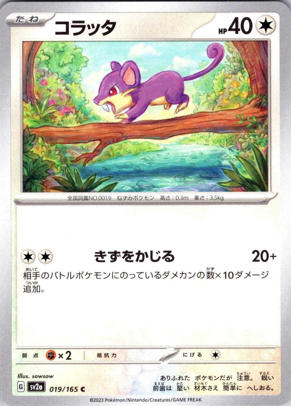 Rattata SV2a: Pokemon Card 151 019/165 Pokemon TCG MP