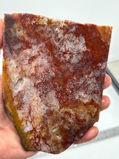 Large Mexican Red Moss Agate Slab Lapidary Cabbing Combo Ship Avail