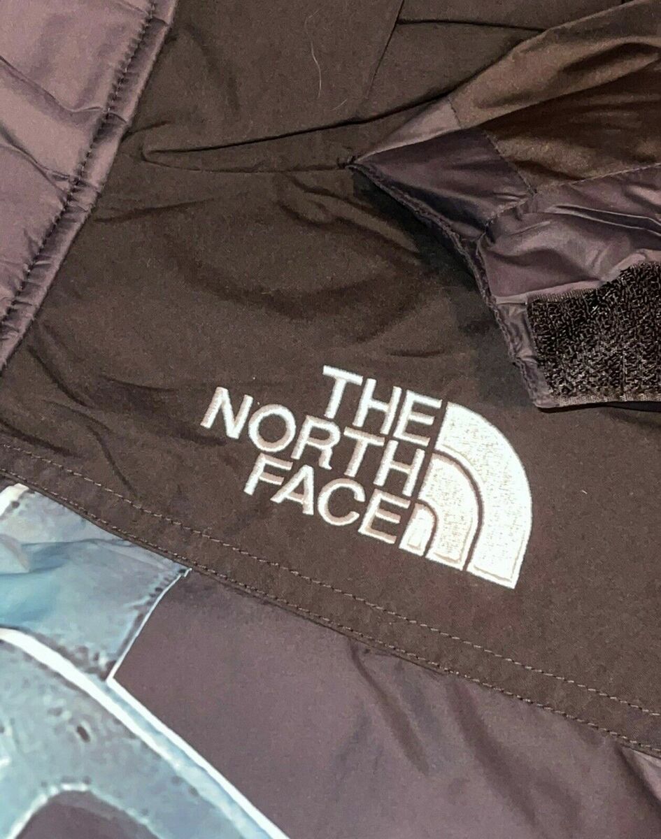 DS! SUPREME THE NORTH FACE STATUE OF LIBERTY BALTORO JACKET BLACK M FW19 TNF