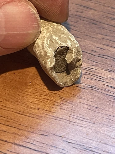 Civil War Enfield Bullet fired with Rosewood Plug - Richmond, Va