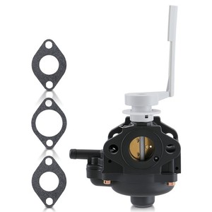 Carburatore Assembalato Per Rasaerba Lawn Boy Duraforce 2 Tempi | Ricambio 107-4607