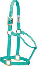 Weaver Leather Original Non-Adjustable Nylon Horse Halter, Small, Mint