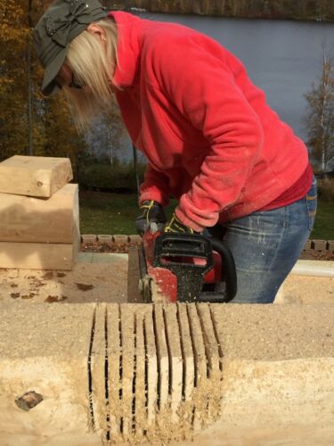 10" x 13" Double Round, Hand-Peeled, White Pine, Full Log Cabin Home Logs - Picture 8 of 12