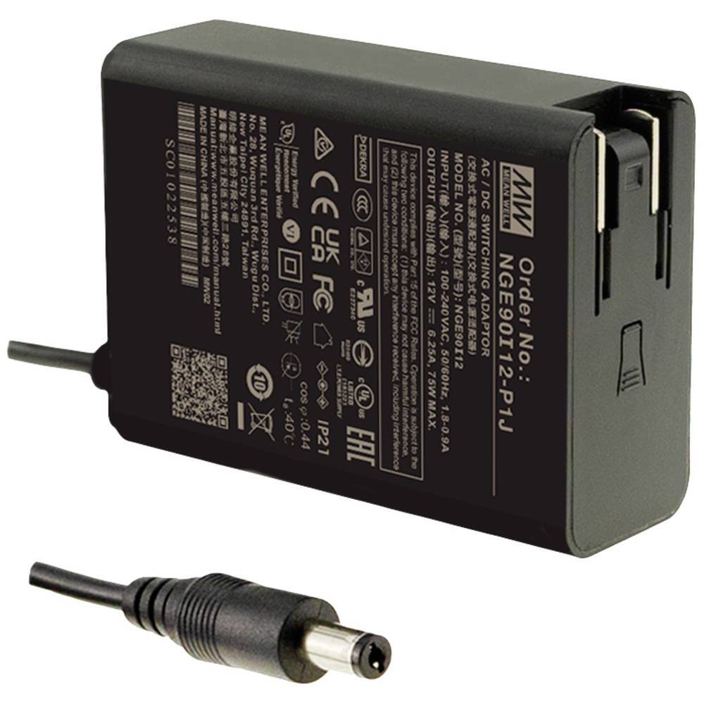 Mean Well NGE90I24-P1J Alimentatore a spina tensione fissa