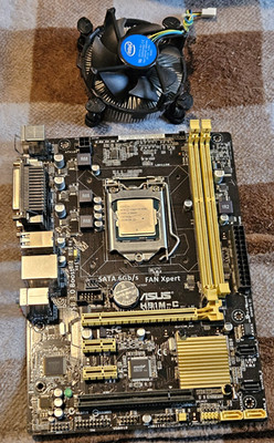 ASUS H81M-C MicroATX LGA1150 Motherboard + CPU + Intel COOLER BUNDLE