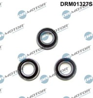 DRM01327S Dr.Motor Automotive Dichtung, DüSenhalter FüR Audi,Seat,Skoda,Vw