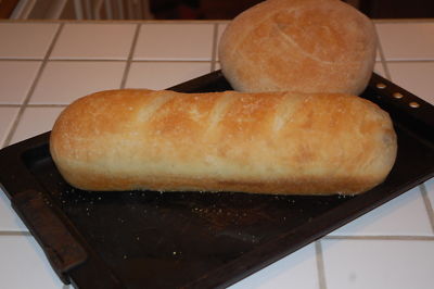 SOURDOUGH STARTER old and VERIFIED 150+yrs california goldrush country larry ^^