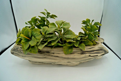VINTAGE 1961 DAVLEE CERAMICS RARE DRIFTWOOD PLANTER W/ PLANTS