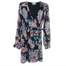 Leyden Floral Wrap Dress Small Long Sleeve, Front Tie, Black, Pink Blue