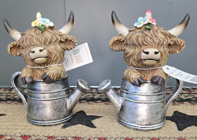 Set of 2 Highland Cows in a watering can by Hanna's Handiworks