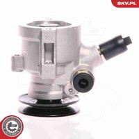 Esen SKV Hydraulikpumpe Lenkung 10SKV118 FüR 309 405 CitroËN Peugeot Aluminium 1