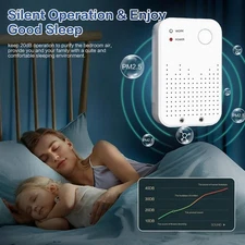 1 Household Ionic Purifier: Silent Plug-in, Suitable for Pets, Smoke & Rooms