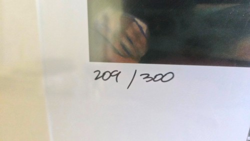 Stampa autografa Gary Kelley Retro Macanudo An American Passion (#209/300) SIGILLATA - Foto 4 di 6