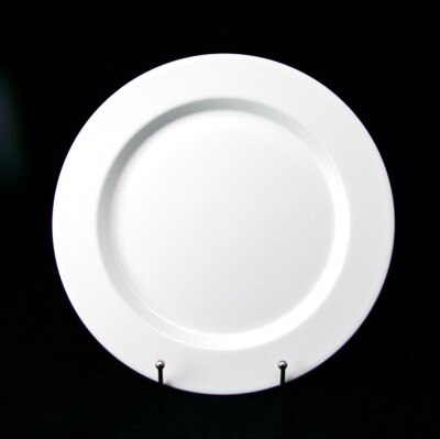 Calvin Klein Stoneware (Swid Powell) CHALK Salad Plate(s