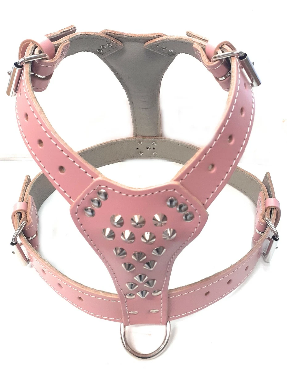 Baby pink clearance harness