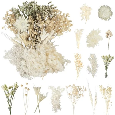 LAUMOE Trockenblumen Set Weiß Blumen Dekoration Bastelbedarf DIY Hochzeit Wohnideen