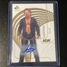 Upper Deck 2026 AEW SP Signature Edition Gold Auto Adam Page Card 15/15