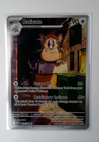 NM Excellent pokemon raticate 99 Perfect Order NM