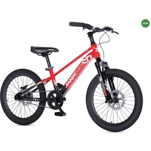 20" MTB Thunder 20 3985768 
