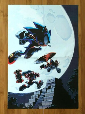 Sonic the Hedgehog 2-Sided Poster Official Tracy Yardley Art Amy