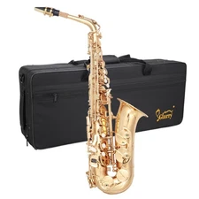 New Glarry Brass Eb Alto Saxophone Sax Gold with Case Student Beginner